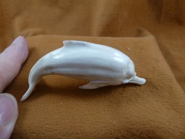 Dolph-28 white Albino baby Dolphin of shed ANTLER figurine Bali detailed... - £34.74 GBP