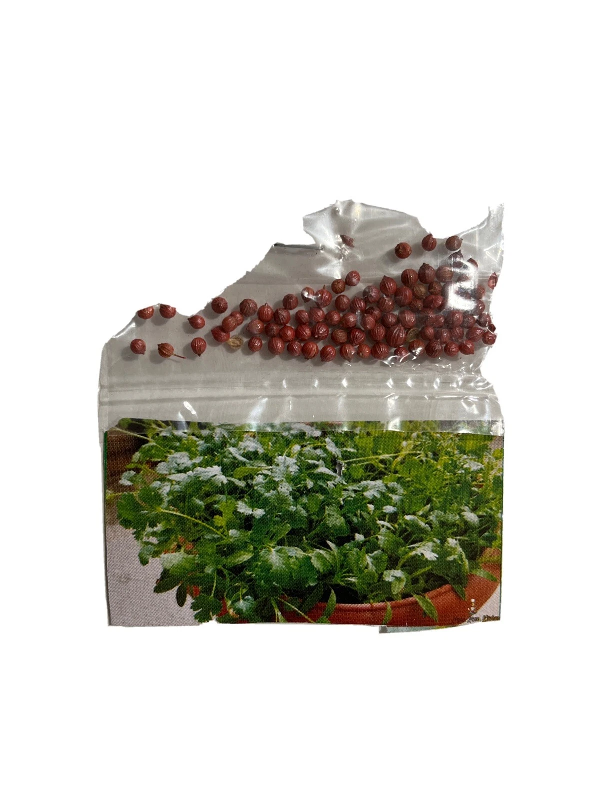 organic coriander seeds - $8.35