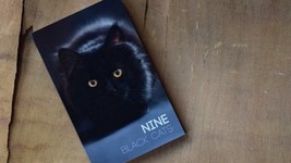Nine Black Cats by Neemdog and Lorenzo - Book - $29.65