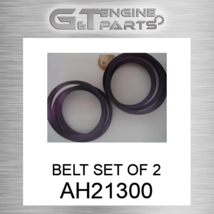 AH21300 Belt Set Of 2 Fits John Deere (New Oem) - £384.64 GBP