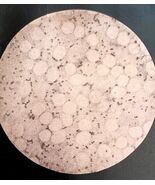 Swine Plague Virus Microscope View Plate Print Victorian 1887 Agricultur... - $56.00 CAD