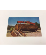 Roadside Attraction , The  Famous One Log House - &#39;53 Chevy car at Reddi... - £4.71 GBP