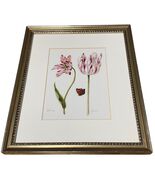 Metropolitan Museum of Art Jacob Marrel Tulips Butter Man Noble Man Fram... - €17,04 EUR