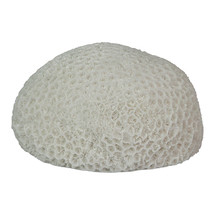 6 Inch Resin LED Brain Coral Accent Lamp Sea Table Light Nautical Home Decor - £29.02 GBP