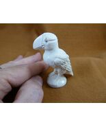 (Puff-w5) little Puffin shed ANTLER figurine Bali detailed puffling sea ... - $184.98 CAD