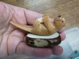 (TNE-OTT-524d) little baby brown sea Otter Nutria TAGUA NUT Figurine Veg... - $39.99