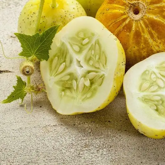 40 Lemon Cucumber Seeds Non Gmo Heirloom Fresh Garden - £7.06 GBP