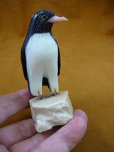 (Y-PEN-355) X Large Black Onyx PENGUIN bird gemstone FIGURINE stone carv... - £21.66 GBP