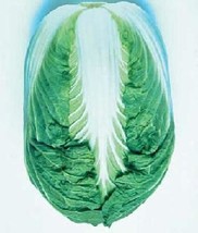50 Seeds Cabbage Chinese Blues Vegetable Seeds - £20.41 GBP