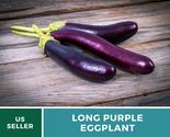 Long purple eggplant 1 thumb155 crop