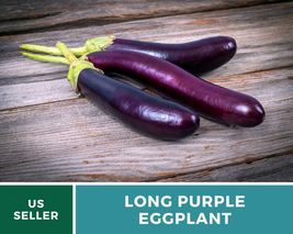 50 Seeds Eggplant Long Purple Seed Solanum melongena Heirloom Vegetable - £12.32 GBP