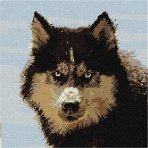 Pepita Needlepoint kit: Siberian Husky, 10&quot; x 10&quot; - £62.34 GBP+