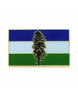 CASCADIA FLAG PIN 1&quot; Pacific Northwest Oregon WA BC Bioregion Lapel Jack... - £6.45 GBP+