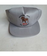 Vintage Mack Trucks Nebraska Truck snapback Made in USA - £29.73 GBP