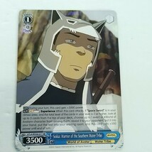Sokka: Warrior of the Southern Water Tribe RR Avatar the Last Airbender - $5.93