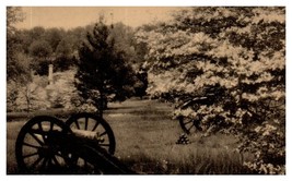 Dogwood in Blossom Valley Forge Pennsylvania RPPC Postcard - £5.49 GBP