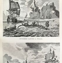 Dutch Lancing And Towing Whale 1926 Nautical Antique Print Whale Hunting... - $366.69 MXN