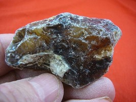 (k-3214) 30 g Rare Kauri tree Gum copal young Amber New Zealand Tane Mahuta - $25.19