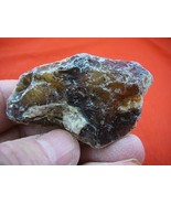 (k-3214) 30 g Rare Kauri tree Gum copal young Amber New Zealand Tane Mahuta - $25.19