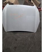 Hood Fits 10-14 LEGACY 1440494 - $2,352.26 MXN