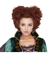 Hocus Pocus Wini Winifred Sanderson Wig For Halloween Costume Witch Adult - £15.16 GBP