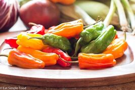 15 Orange Shishito Pepper Seeds  - $3.99