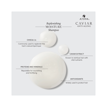 Alterna Caviar Replenishing Moisture Shampoo & Conditioner Liter DUO image 2