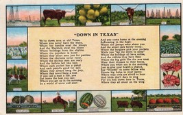 &quot;Down In Texas&quot; Vintage Unposted Postcard Longhorn Steer Oil - £11.91 GBP