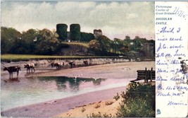 Rhuddlan Castle Great Britain Postcard Posted 1905 - £11.64 GBP