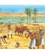 Sacred Fruit Of The Nile Oils Sets&quot; Figs, Grapes, Citrus, Pomegranates, ... - $187.93 MXN