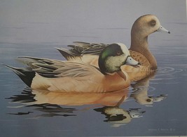Wigeon by William C. Morris 1984-85 Federal Waterfowl Stamp Print Artist Signed  - £94.14 GBP