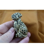 Y-DOG-LA-736 Spotted jasper LABRADOR Dog FIGURINE gemstone dogs DALMATIA... - $31.93 CAD