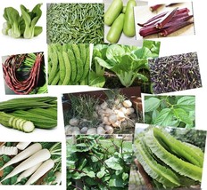 VC 20 Packets-Asian Vegetable Seeds -See Description For Complete List E... - $975.15 MXN