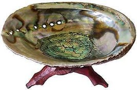 5&quot;- 6&quot; Abalone Shell Incense Burner With Stand - $59.19