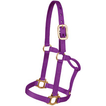 Horse Nylon HALTER  Bling Tack Noseband  Colt Weaning 60639W - $24.74