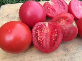 GIB 50 Seeds Easy To Grow Arkansas Traveler Tomato Tomatoes - £7.06 GBP