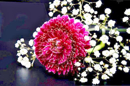 Item image 1 image 1