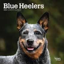 2023 Blue Heelers 7x7 16-Month Mini Wall Calendar - £7.98 GBP