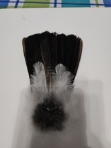 Eurasian Blue Jay Bird Full Tail Feathers JB29 - £11.66 GBP