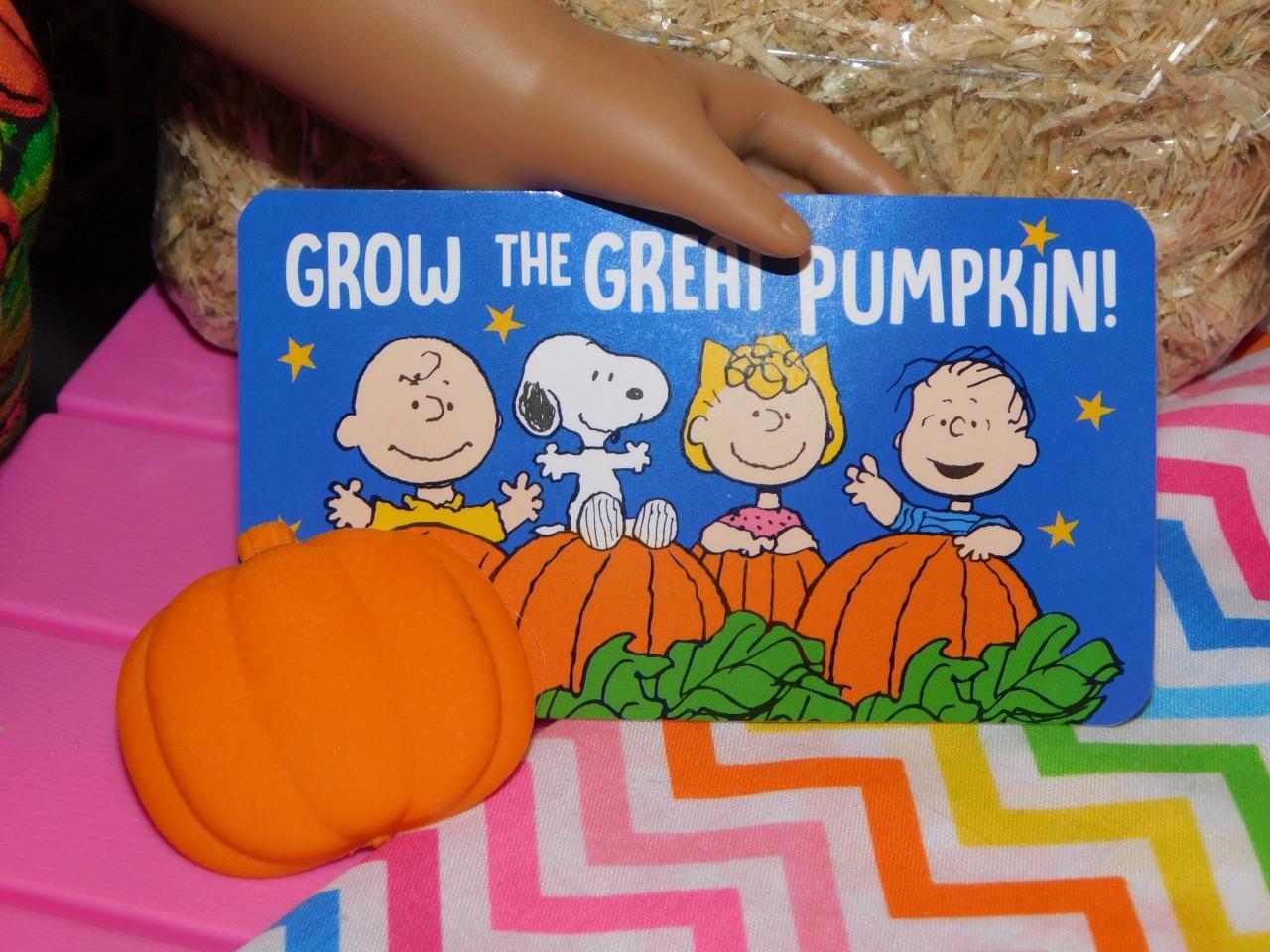 18&quot; Doll Halloween Its the Great Pumpkin Charlie Brown Grow fits Our Gen... - $1.63