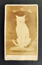 1860s Antique Smiling Cat Cdv Funny Photograph Ha Ha Ha I&#39;ve Eaten The Canary - £96.61 GBP