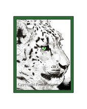Snow Leopard Pen and Ink Print - £18.85 GBP