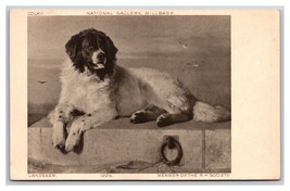 Distinguished Member of the Humane Society Painting By  Landseer DB Postcard V23 - $1.93