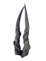 HUGE Natural Eland Horn set (2 horns) , Male Eland Antelope Horns - 28&quot; long - $177.21