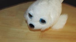 The Petting ZOO 13"-14" Plush white seal pocket missing baby pup BIG blu... - $7.20