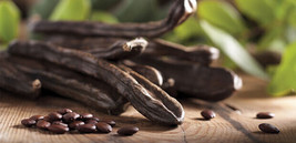 Ceratonia Siliqua 10+ seeds Carob  st john&#39;s bread graines organic seed - $5.27+