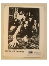 The Black Crowes Press Kit and Photo Shake Moneymaker - $135.00