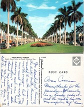 Florida Palm Beach Poinciana Palm Trees Flowers Old Cars Written on Postcard - £7.34 GBP