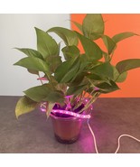 SUMNEW Lights for use in growing plants，Grow Light, Strip Growing lamp - $8.99
