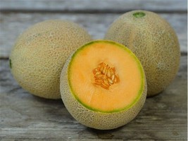 Cantaloupe Seeds Planters Jumbo 50 Muskmelon Fruit Non Gmo - £9.05 GBP